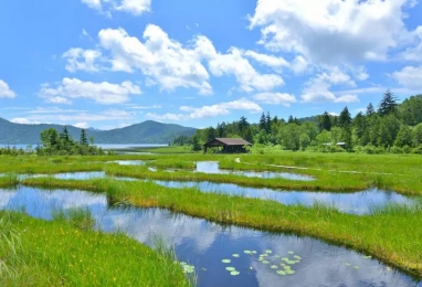 천상의 화원 오제(尾瀬)와 닛코 ５일